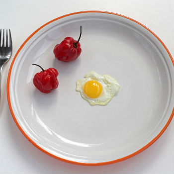 Extremely Low Calorie Diets